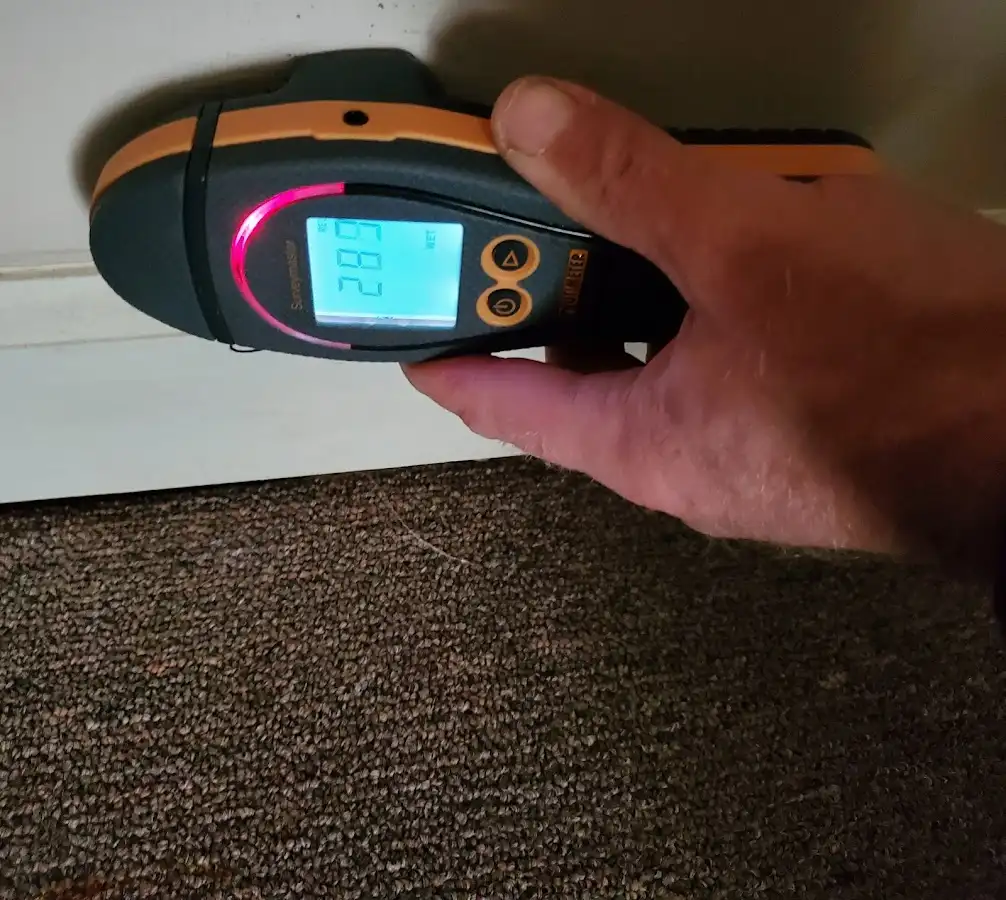 Moisture detection at baseboard during Sewage Cleanup & Sanitation in Falmouth